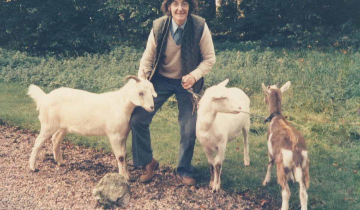 Rowan James standing on the edge of a gravel path with holding three goats on reins.