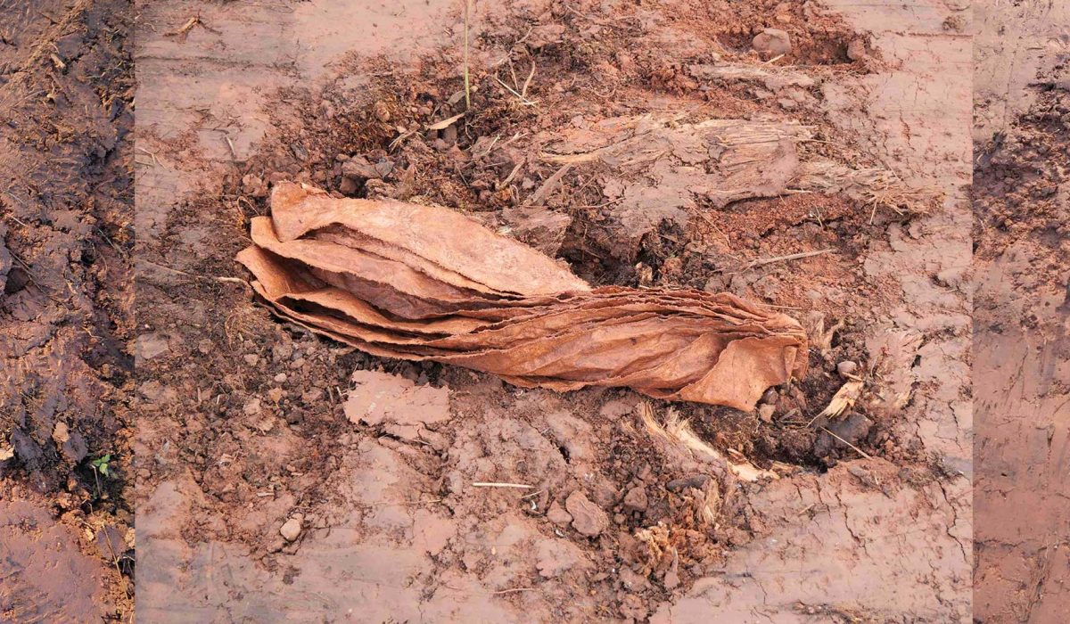 three colour photos of woven fibres in mud