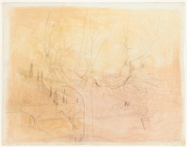 pencil drawing of bare tree branches with hillside in background